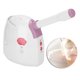 thumbnail image 5 of Dispositivos de vaporización facial de aromaterapia, vaporizador facial, vaporizador facial frío y caliente, diseño de próxima generación, 5 of 8