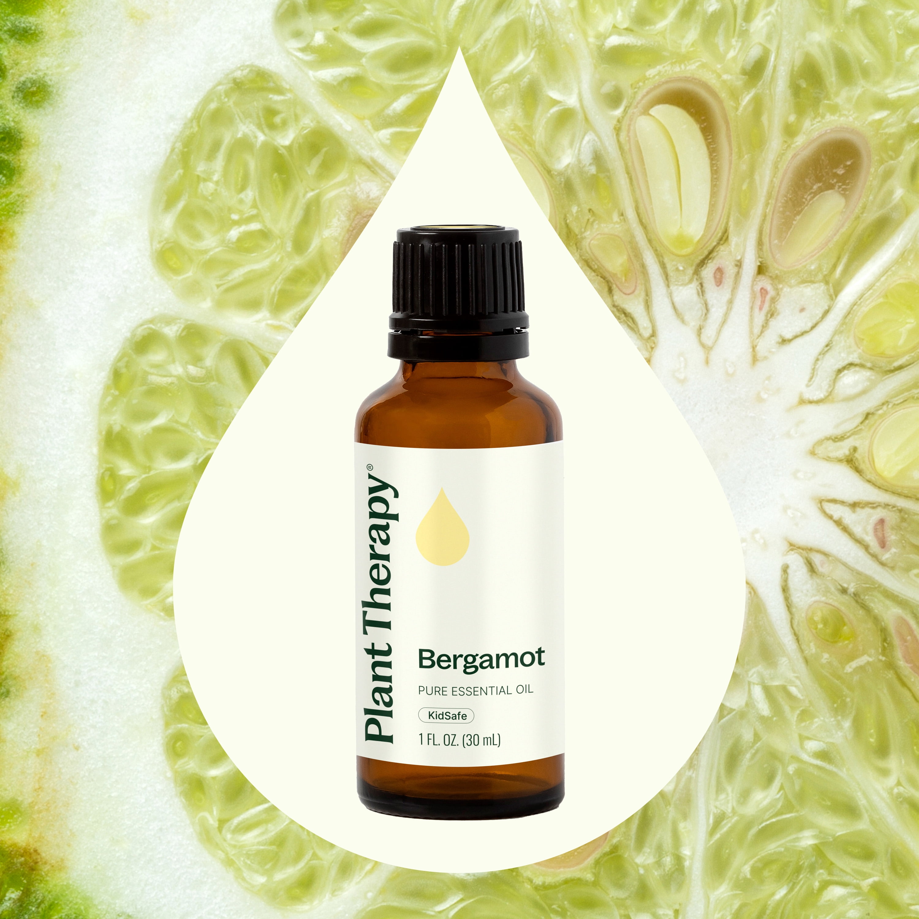 Plant Therapy Bergamot Essential Oil 100% Pure, Undiluted, Natural Aromatherapy 30 mL (1 oz)