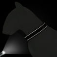 thumbnail image 5 of Didog Custom Personalized Dog Collar Embroidered Pet ID Name Number Reflective Nylon, 5 of 6