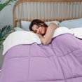 thumbnail image 4 of Unique Bargains Quilt Lightweight Down Comforter Light Purple/White Twin, 4 of 8