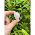 thumbnail image 6 of Rose Quartz Tumbled Stones, Polished Rose Quartz Gemstone, Rose Quartz Healing Crystals (Rose Quartz, 0.25 Pound), 6 of 9