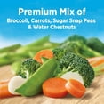 thumbnail image 3 of Birds Eye Steamfresh Broccoli, Carrots, Sugar Snap Peas, Water Chestnuts, Frozen Vegetables, 10.8 oz, 3 of 9