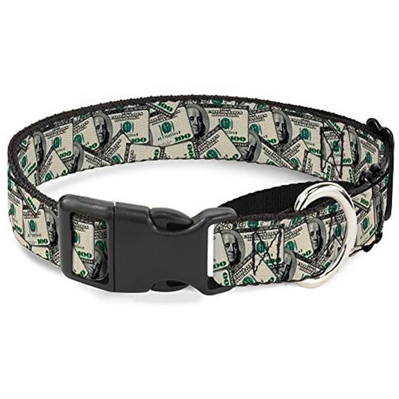 Buckle-Down Benjamins Martingale Dog Collar