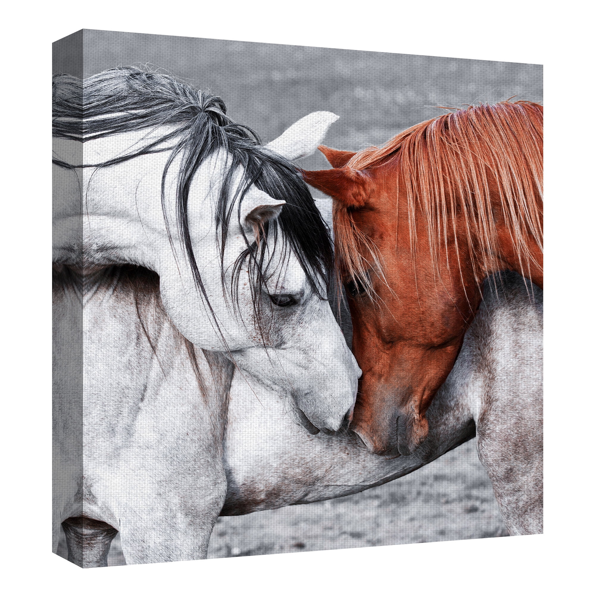Masterpiece Art Gallery Horse Of A Different Color By Belle Maison Canvas Art Print 24" x 24"
