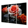 thumbnail image 2 of Designart "Peach Roses Coral Charm" Floral Metal Art Print Set, 2 of 5
