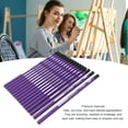 thumbnail image 3 of 16pcs Art Drawing Graphite Pencils Drawing Pencils Set,Professional Drawing Sketching Pencil Set Complete Drawing Kit Graphite Sketch Pencil Artists Set For Drawing, 3 of 7
