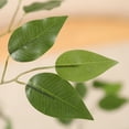 thumbnail image 3 of Artificial Ficus Silk Tree, 5FT Faux Plastic Ficus Plants in Pot with Durable Plastic Trunk, Fake Plant for Home Decor Office House Living Room Indoor Outdoor, 3 of 9