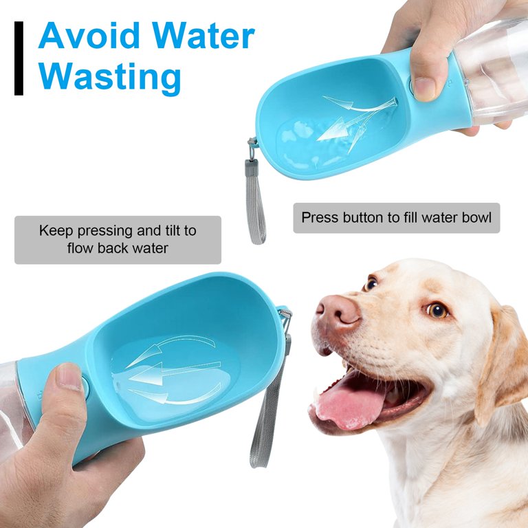 Green stuff in discount dog water bowl