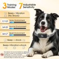 thumbnail image 4 of Collar antiladridos para perros grandes, medianos y pequeños, collar antiladridos eficaz, collar inteligente, recargable con 7 niveles de sensibilidad, 3 modos, resistente al agua, color negro., 4 of 8