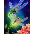 thumbnail image 1 of 30 X 40 Cm, libellule Diamond Painting Broderie Diamant Peinture Canevas 5d Tableau Enfant Adulte Strass Lot Puzzle Dessin Decoración Murale Cham, 1 of 5