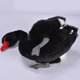 thumbnail image 5 of Gwong Juguete Cisne realista animal peluche muñeco de peluche juguete juguete casa oficina de escritorio decoración Gwong 30003655, 5 of 7