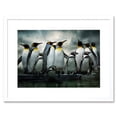 thumbnail image 1 of Emperor Penguin Birds Nature Animal Wildlife Photograph Artwork Framed Wall Art Print 12X16 Inch, 1 of 3