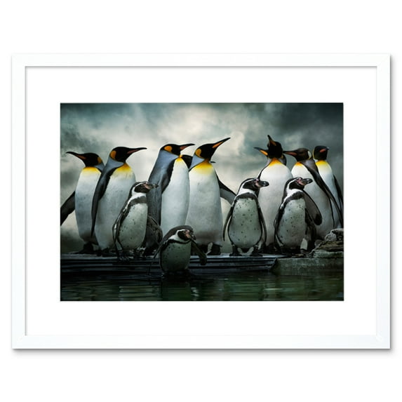 Emperor Penguin Birds Nature Animal Wildlife Photograph Artwork Framed Wall Art Print 12X16 Inch