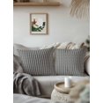 thumbnail image 2 of Outdoor Pillows Waterproof, Black Botanical Throw Pillows with Inserts Included, Farmhouse Modern Striped Leaf Indoor Outdoor Decorative Lumbar Pillow for Bed/Couch/Patio 18"x18", 2Pcs, 2 of 8