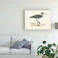 thumbnail image 3 of Trademark Fine Art 'Morris Sandpiper III' Canvas Art by Morris, 3 of 3