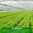 thumbnail image 2 of Farm Plastic Supply - String Reinforced 4 Year UV Resistant 10 mil Clear Greenhouse Plastic Sheeting - 4 Year UV Resistant Polyethylene Greenhouse Film, Hoop House Green House Cover (6' x 100'), 2 of 5