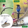 thumbnail image 3 of Comedero para pájaros de ventana para exterior con ventosas fuertes, apto para cardenales, pinzones, carboneros, etc., 3 of 4