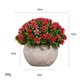 thumbnail image 1 of Planta en maceta de pulpa artificial NQ estrellas rojas, 1 of 4