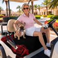 thumbnail image 3 of Golf Cart Seat Covers for 2 Seater,Red Rose Microfiber Cart Seat Towel Blanket,Vintage Abstract Garden Flower Floral Black Absorbent Breathable Non Slip Bench Seats Protector for Golf Course 51"x31", 3 of 9