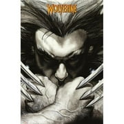 GB Eye  Marvel Wolverine Claws Poster Print, 24 x 36