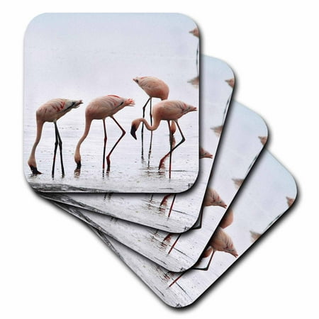 

Flamingos pinkish tone set of 8 Coasters - Soft cst-9863-2