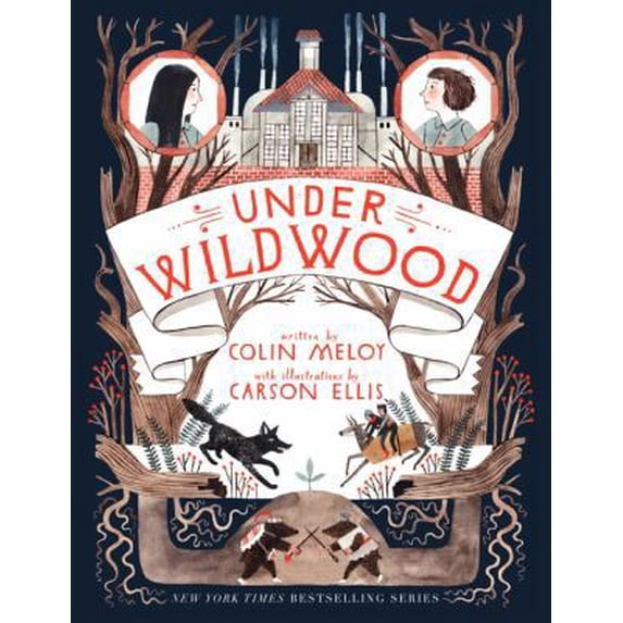 Pre-Owned Under Wildwood: 2 (Wildwood Chronicles) Paperback
