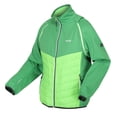 thumbnail image 3 of Regatta - Chaqueta Softshell Steren Hybrid para Hombre (Campo Verde, Verde Jasmín), 3 of 5