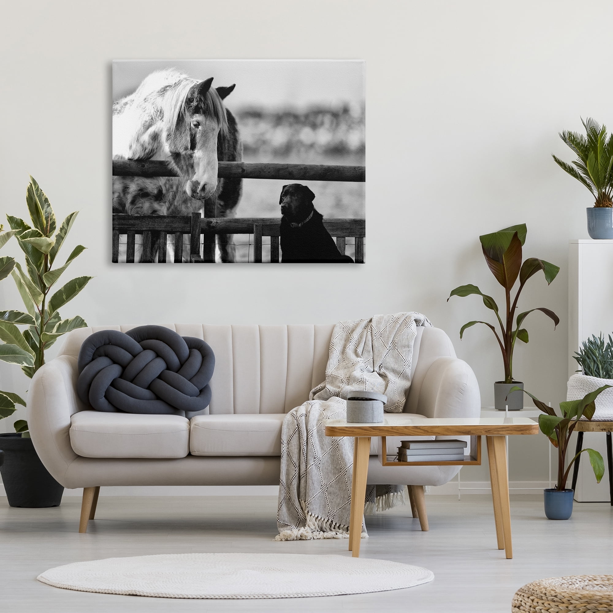 Stupell Industries Dog & Horse Farm Animal Friends Monochrome Photography Photograph Gallery Wrapped Canvas Print Wall Art, Design by James Dobson