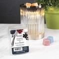 thumbnail image 3 of Whipped Vanilla & Blackberry Scented Wax Melts, Better Homes & Gardens, 2.5 oz (5-Pack), 3 of 9
