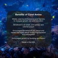 thumbnail image 3 of Complejo de aminoácidos Brightwell Aquatics CoralAmino 250 ml, 3 of 10