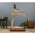 thumbnail image 5 of Prevue Pet Products Coffeawood Java Tree, Medium, 5 of 8
