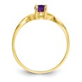 thumbnail image 2 of 10k Yellow Gold Amethyst Birthstone Ring February Gemstone, 2 of 7