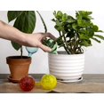 thumbnail image 2 of Globos de riego para plantas Besti, paquete de 6, multicolor, vidrio, 30 cm, 2 of 6