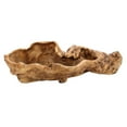 thumbnail image 1 of Resin Plant Pot Cactus Flower Pot Container Planter, 1 of 8