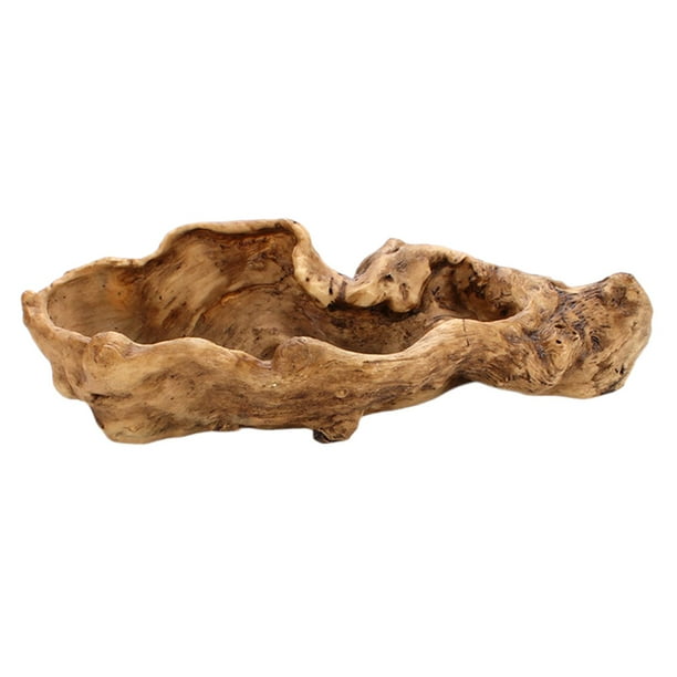 Maceta de resina para plantas suculentas, maceta de cactus, maceta para macetas para interiores / exteriores, maceta para , sala de ,
