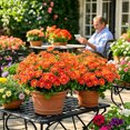 thumbnail image 4 of UV Resistant Outdoor Artificial Daisy Flowers Bouquet, Realistic Faux Greenery Bonsais for Hanging Bonsaier, Lifelike Floral Decor for Porch Patio Garden Yard Indoor Table Centerpiece, Orange, 4 of 5