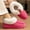 Neon, variant on Fuzzy Slippers for Women Fluffy Furry Collar Cozy Memory Foam Non Slip Warm Winter House Slipper