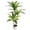 B, variant on 3.3FT Artificial Dracaena Tree in Pot, Evergreen Artificial Dracaena Marginata Plants Indoor, Decorative Potted Floor Plant for Living Room Porch Office Decor