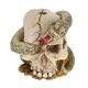 thumbnail image 5 of Cráneos de resina Lagarto Cráneo Decoración Durable Epoxy Resina Decoraciones Scary Outdoor Navidad Decoraciones Patio Artesanía en Box Package Inevent OD003135-00, 5 of 7