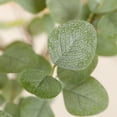 thumbnail image 3 of DR.Planzen Artificial Eucalyptus Plants 6Ft Fake Eucalyptus Plant in Pot Faux Tree for Home Decor Indoor Living Room Office Perfect Housewarming Gift 1Pack, 3 of 9