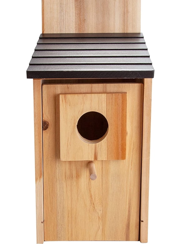 Bird Houses in Bird Feeders and Bird Houses