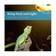 thumbnail image 2 of 4 Pack Reptile Uvb Uva Heat Lamp Bulb For Truly Sun-like Bright Heat For , Amphibian(100 W), 2 of 5
