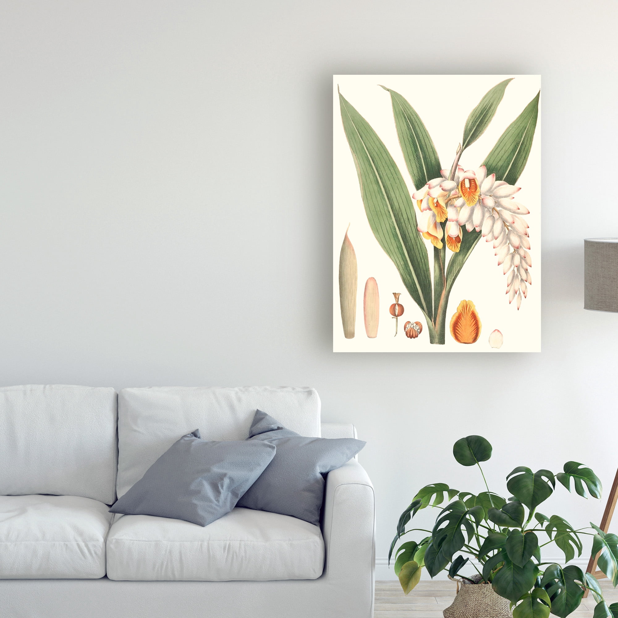 Trademark Fine Art 'Soft Tropical I' Canvas Art by George Smith