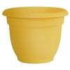 Bloem Ariana Self Watering Plastic Planter 16" Earthy Yellow