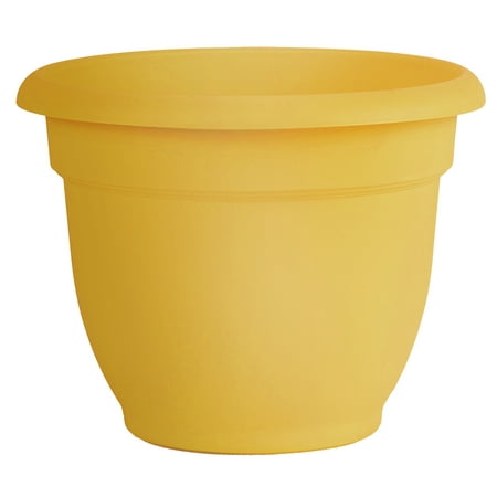 UPC 087404000034 product image for Bloem Ariana Self Watering Planter 20