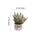 thumbnail image 3 of Small Artificial Potted Greenery Fake Home Office Desk Decor Wedding Photography Prop Miniature Plastic Greenery 1-Piece, 3 of 6