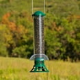 thumbnail image 4 of Perky-Pet Green Squirrel Slammer Wild Bird Tube Feeder - 3.5 lb, 4 of 9