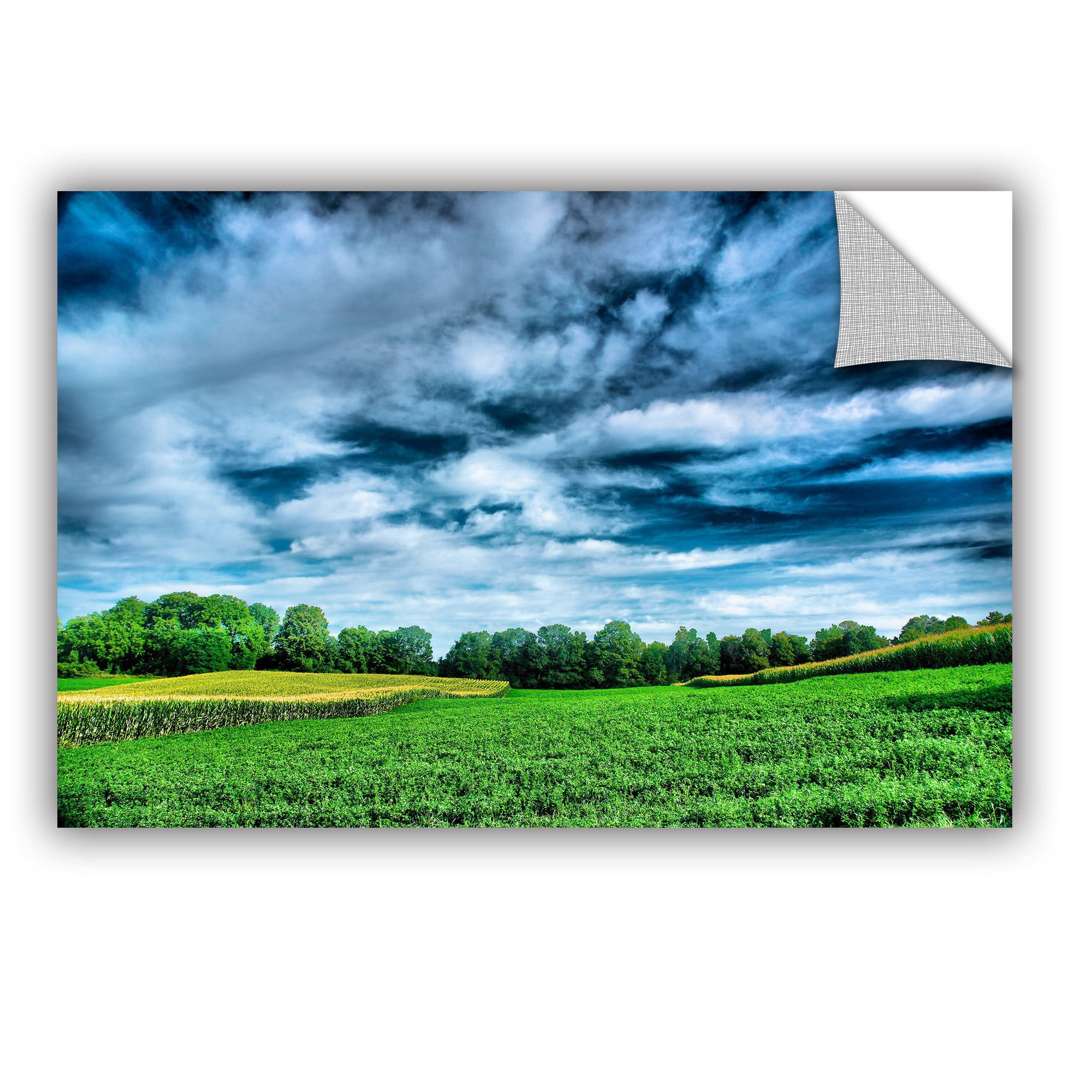 ArtAppealz Steve Ainsworth "Field of Dreams" Removable Wall Art