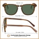 thumbnail image 4 of Gafas de Sol CARFIA Retro con Lentes Verdes Polarizadas de Acetato para Hombre, 4 of 8