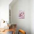 thumbnail image 4 of Pink Rose, Botanical Stretched Canvas Wall Art by Cora Niele Sold by Art.Com, 4 of 5